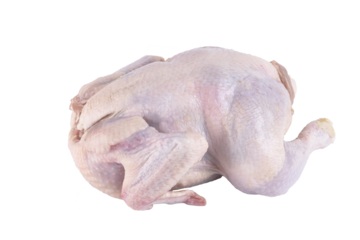 Raw chicken carcass. Transparent background. PNG