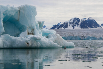 Close up of Ice flows floating in the cold waters of the Arctic circle.	