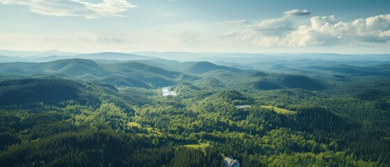 Bird's-eye panoramic shot of a spacious forest landscape from a hill - obrazy, fototapety, plakaty