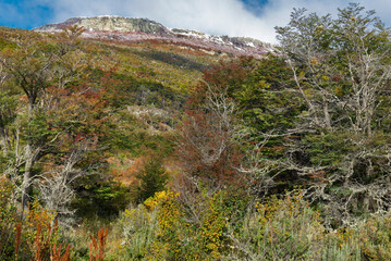Parque Nacional, Tierra del Fuego, Argentina