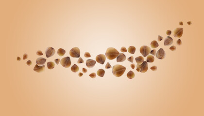 Buckwheat flying on light orange background. Grains in air, banner design