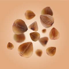 Buckwheat flying on light orange background. Grains in air