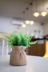 Artificial flower vase pot decoration in modern Living room. Detailed of artificial plants in...