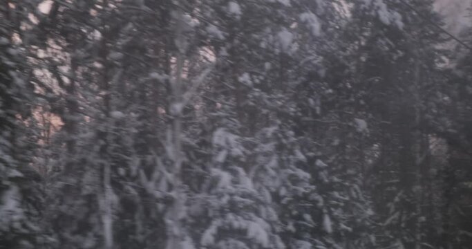 As the train winds, the woods stand frozen, their snowy landscape bathed in the gentle hues of a winter sunset.