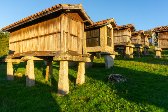 Set of granaries (horreos) from A Merca from the mid-20th century. Beautiful light at the end of the day. Ourense, Galicia, Spain.