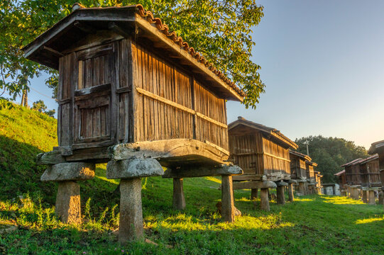 Set of granaries (horreos) from A Merca from the mid-20th century. Beautiful light at the end of the day. Ourense, Galicia, Spain.