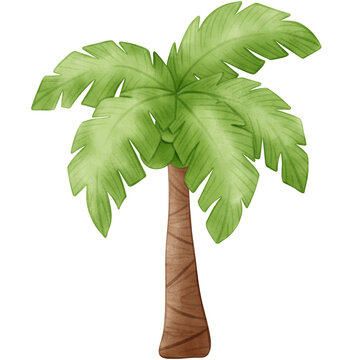 Coconut Tree, Beach, Summer, illustration, watercolor