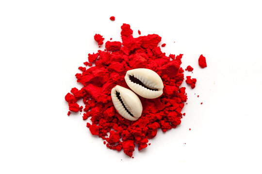 Top view of Cowrie (Cypraea chinensis) placed over auspicious red-colored Sindoor (vermilion) or kumkum isolated on a white background.