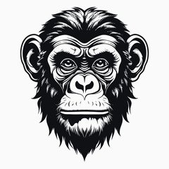Obraz premium monkey vector logo simple realistic nature primate africa gorilla marmoset chimpanzee art drawing illustration wild animal 
