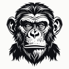 Fototapeta premium monkey vector logo simple realistic nature primate africa gorilla marmoset chimpanzee art drawing illustration wild animal 