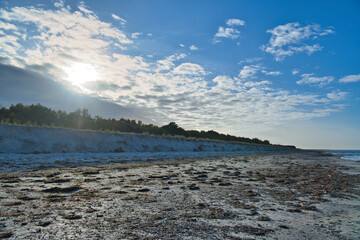 On the coast of the Baltic Sea. Dunes with dune grass in front of the sandy beach