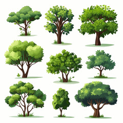 tree, nature, leaf, plant, forest, branch, oak, summer, vector, environment, trees, foliage, spring, illustration, grass, leaves, isolated, set, eco, wood, collection, garden, landscape, growth, big