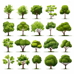 Fototapeta premium tree, nature, leaf, plant, forest, branch, oak, summer, vector, environment, trees, foliage, spring, illustration, grass, leaves, isolated, set, eco, wood, collection, garden, landscape, growth, big