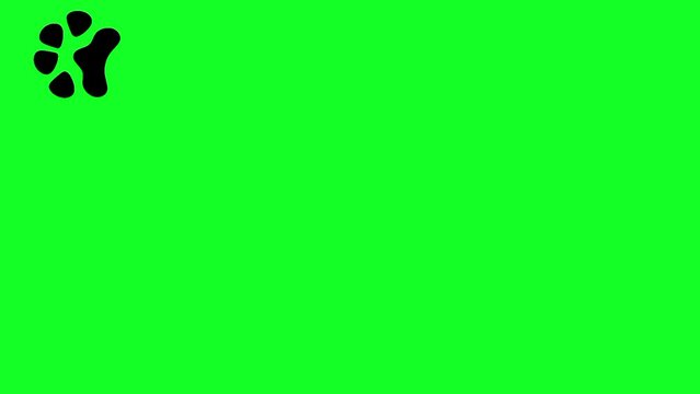 Animation of dog footprints on green screen. Pet footprints appear alternately.