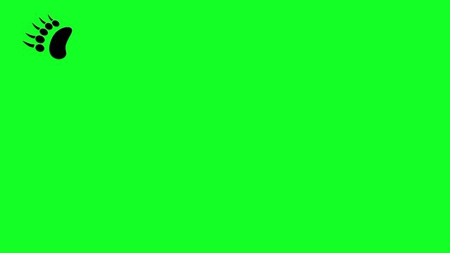Animation of bear footprints on green screen. Feet with sharp nails. Footprints of wild beasts appeared one after another.
