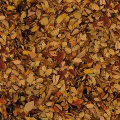 Realistic camouflage Seamless forest pattern. Branches and Oak leaves. Useable for hunting and wildlife photography purposes. Seamless vector illustra