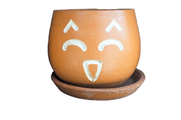 Flower pot with faces showing feelings