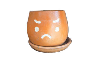 Flower pot with faces showing feelings