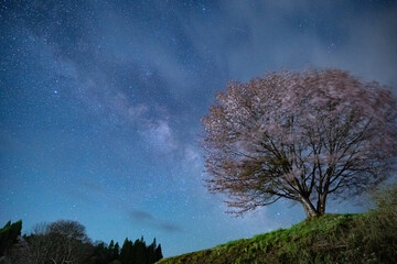 一本の桜と天の川　長野県
