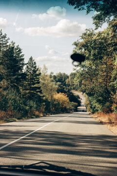 An image of a winding, smooth road with lush green trees growing along the side of the road. Straight road with markings. Traveling long distances by car. Can be used as banner background, wallpaper.