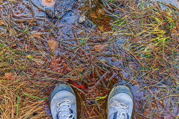 Top angle perspective of two men's hiking boots, dirty with mud against a puddle on the grass on a...