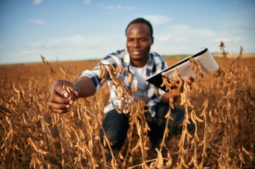 Notepad with documents in hands, checking wheat. Beautiful African American man is in the agricultural field