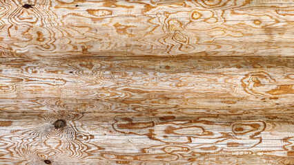 Wooden wall from logs as a background texture. Background, pattern, texture, frame, place for text...