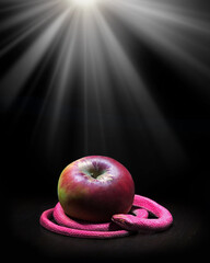 The snake lies near the apple