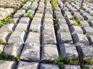 Rows of concrete cubes or rectangles on the bank of a river with grass. Breakwaters, protection...