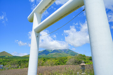 Fototapeta premium 南浜神社