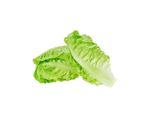 Fresh cos lettuce transparent png