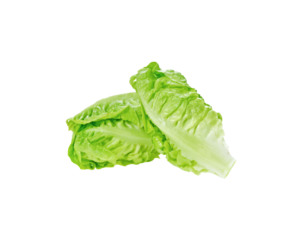 Fresh cos lettuce transparent png
