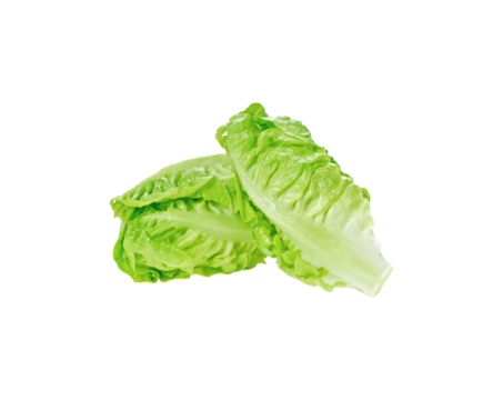 Fresh cos lettuce transparent png