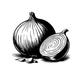 onion vector hand drawn black and white - obrazy, fototapety, plakaty