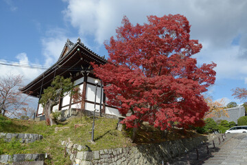 秋の金戒光明寺　阿弥陀堂　京都市左京区黒谷