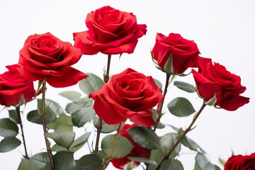 top view of beautiful red roses generative ai