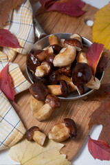 Several Imleria Badia or Boletus badius mushrooms commonly known as the bay bolete and vintage pan with mushrooms on wooden cutting board..