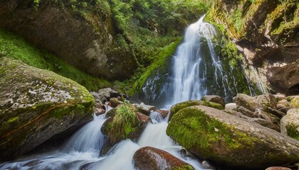 waterfall in a green forest with rocks and green moss