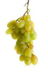 Bunch of organic green grapes isolated on white background.