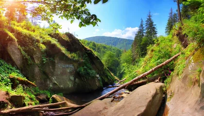 Fototapeten fabulous view from the bottom of canyon to the top of trees green summer scene of popular tourist destination protyati kameni amazing landscape of carpathian mountains ukraine © Florence