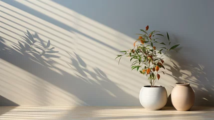 Fotobehang Interior limpio y sencillo de una pared con plantas en el frente. Sombras y luces . © ramoncin1978