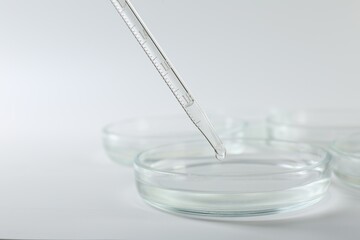 Dripping liquid from pipette into petri dish on light background, closeup
