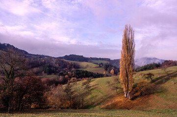 Herbst im Katzental