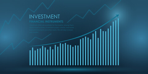 Vector illustration. Investments, financial instruments, economic trends, trade and investment, graphs, charts. Presentation concept, website background, poster or banner, advertising. Digital agency. - obrazy, fototapety, plakaty