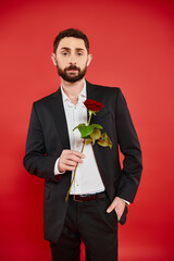 stylish man in black suit with rose in hand in pocket looking at camera on red, st valentines day