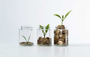 Green plants growth in coin jars - obrazy, fototapety, plakaty