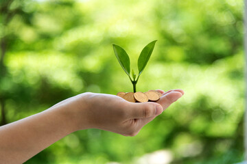 Green plant growth from coins