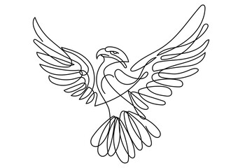 Eagle Bird Line Art Doodle Illustration. Silhouette Outline Wild Eagle Bird Monochrome Symbol Contour Hand Drawn Curve Line Decoration