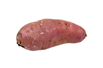 One purple sweet potato. Transparent background