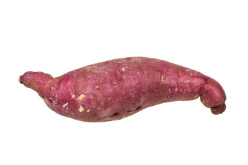 One purple sweet potato. Transparent background